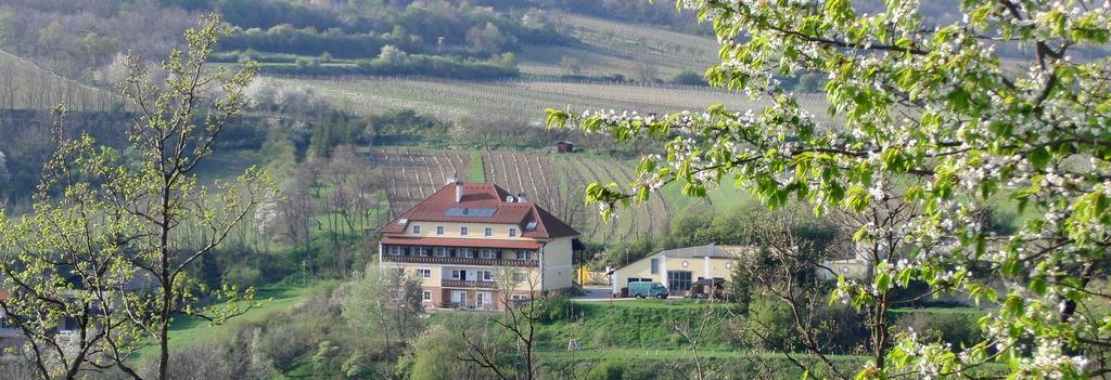 Hotel Pension Rudi - Weingut Kellner Pulkau Esterno foto