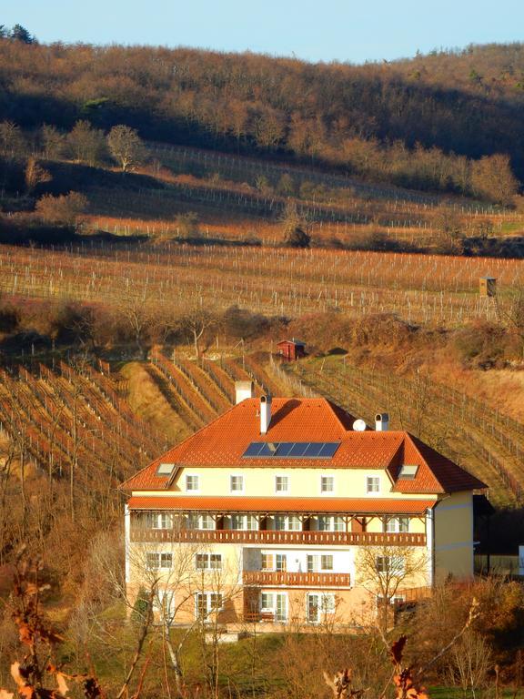 Hotel Pension Rudi - Weingut Kellner Pulkau Esterno foto