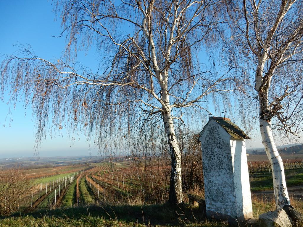 Hotel Pension Rudi - Weingut Kellner Pulkau Esterno foto