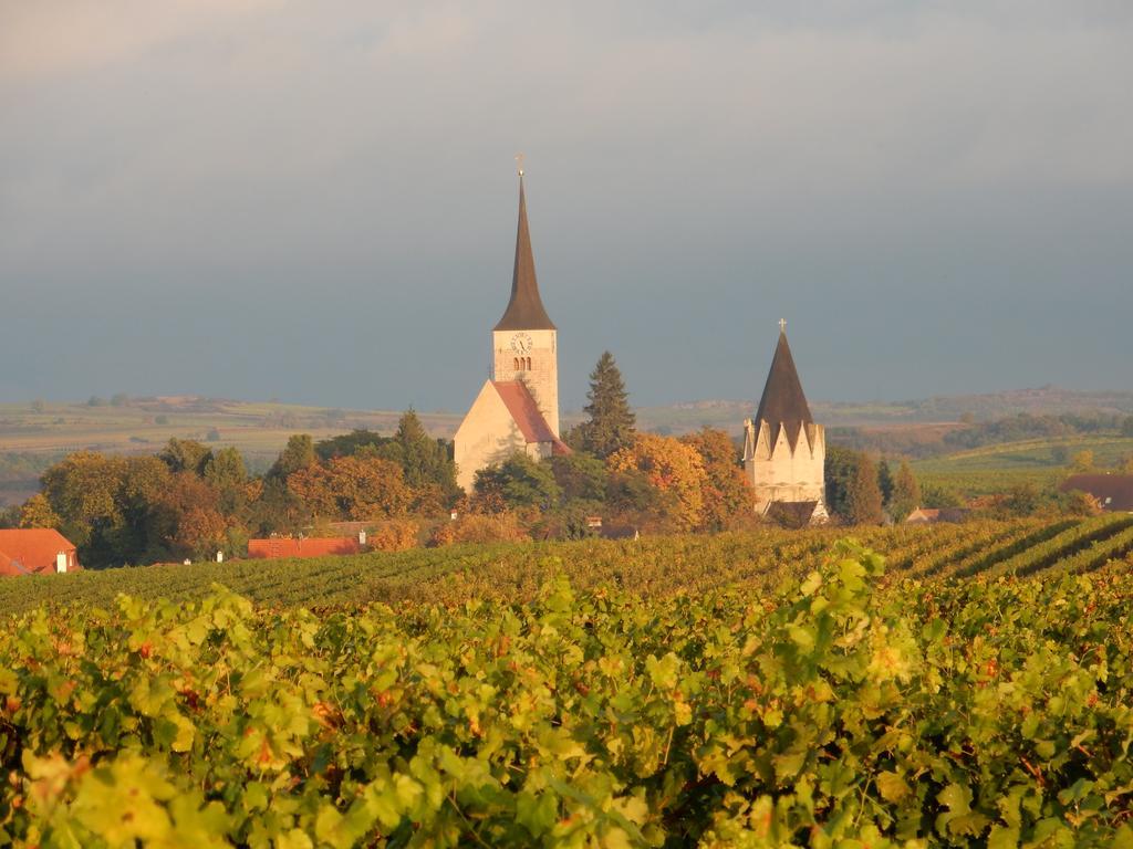 Hotel Pension Rudi - Weingut Kellner Pulkau Esterno foto
