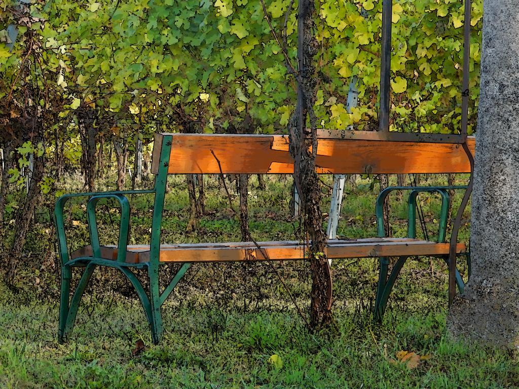 Hotel Pension Rudi - Weingut Kellner Pulkau Esterno foto